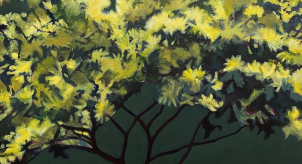 Ode à la nature, sélection végétale