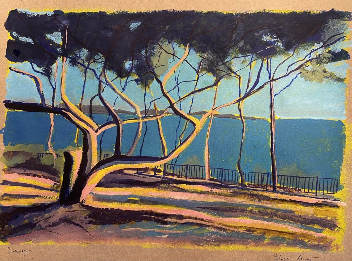 oeuvre pins sanary sur mer